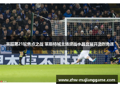 英超第21轮焦点之战 莱斯特城主场迎战水晶宫展开激烈角逐